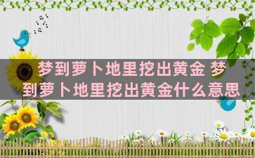 梦到萝卜地里挖出黄金 梦到萝卜地里挖出黄金什么意思